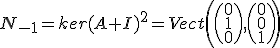  N_{-1}=ker(A+I)^{2}=Vect \left( \begin{pmatrix} 0 \\ 1 \\ 0 \end{pmatrix}, \begin{pmatrix} 0 \\ 0 \\ 1 \end{pmatrix} \right) 